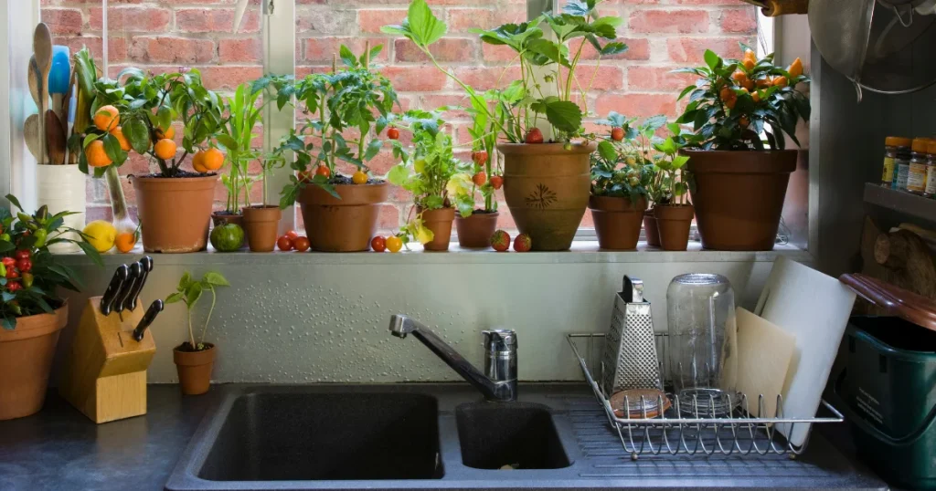 How to Maintain Your Kitchen Window Sill Decor